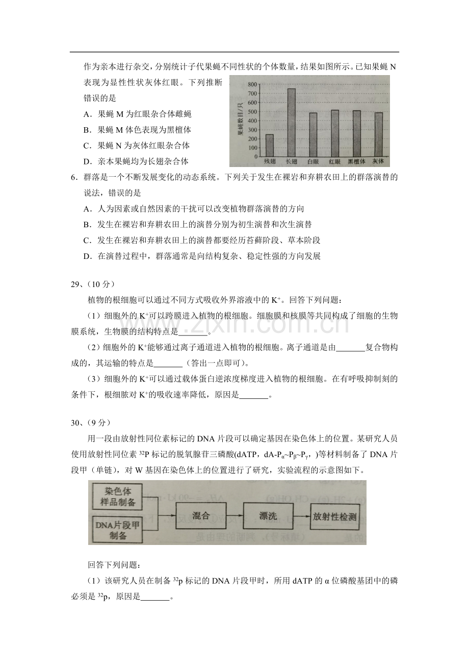 2021年全国统一高考生物试卷（新课标ⅲ）（原卷版）.docx_第2页