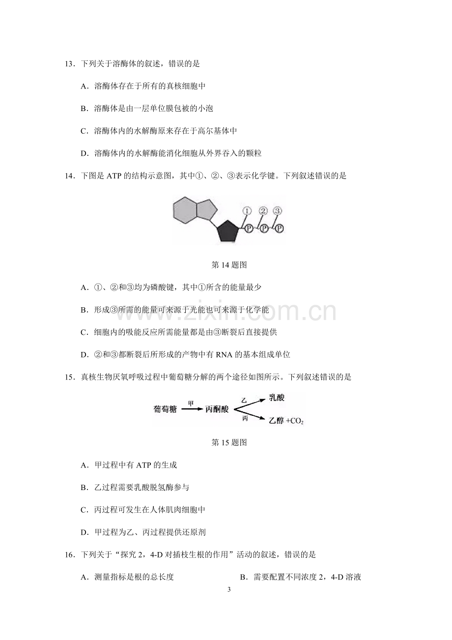 2019年浙江省高考生物【1月】（含解析版）.pdf_第3页