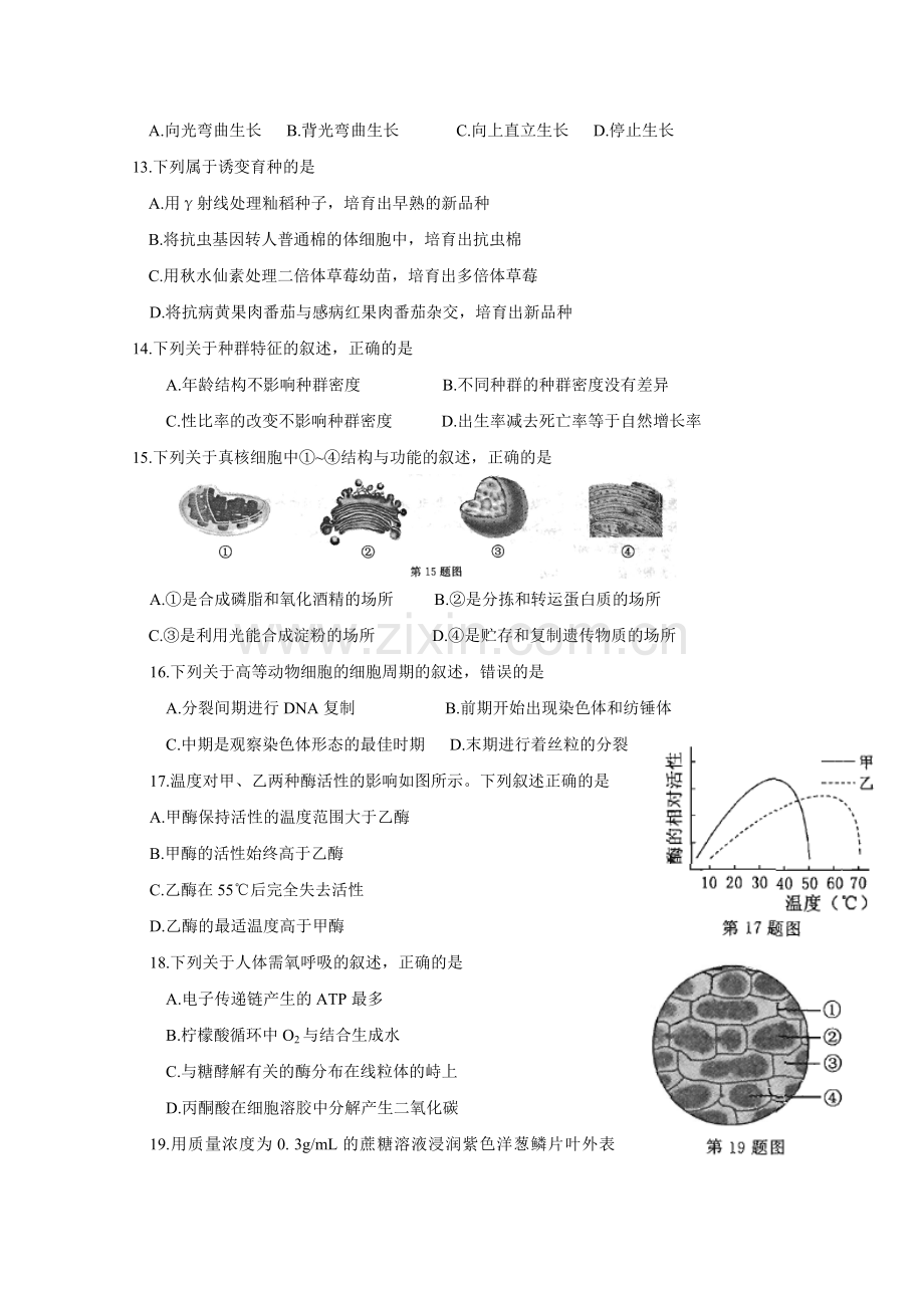 2015年浙江省高考生物【10月】（含解析版）.doc_第2页