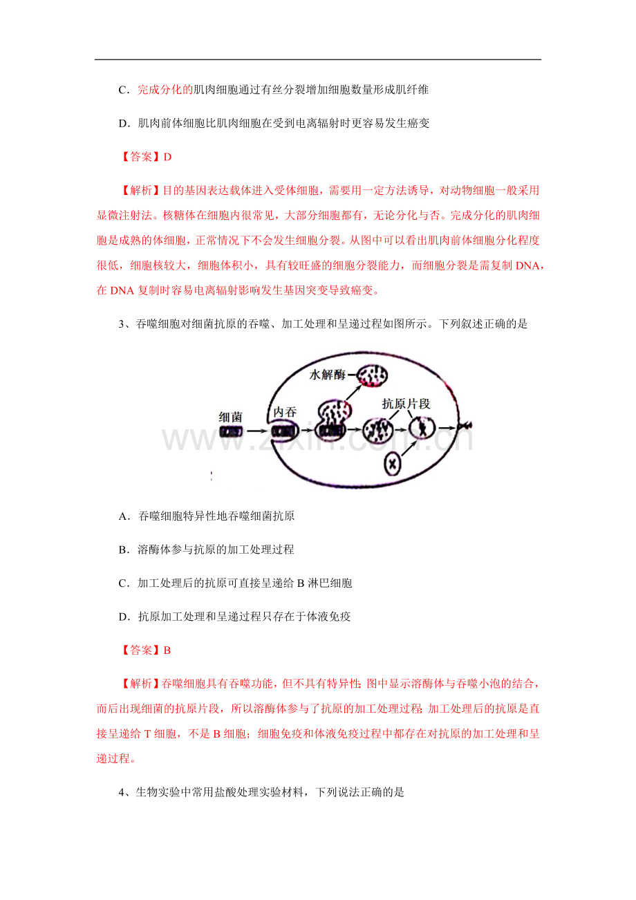 2013年高考真题 生物(山东卷)（含解析版）.docx_第2页