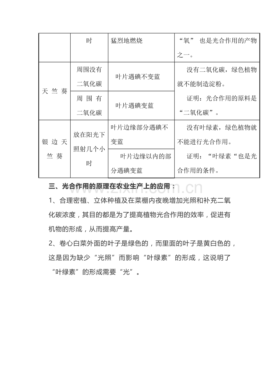 初中生物：光合作用相关知识点梳理.docx_第2页