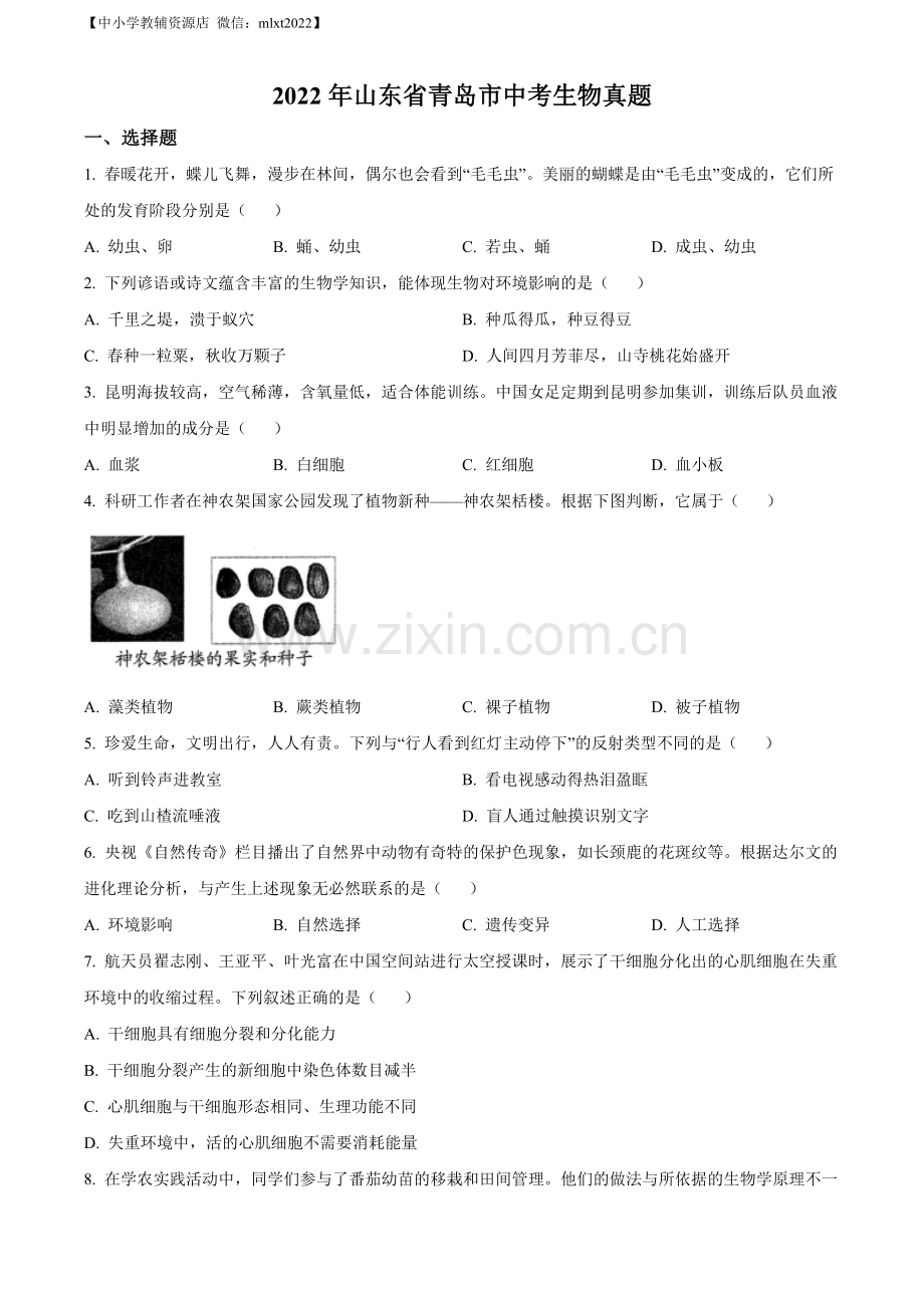 2022年山东省青岛市中考生物真题（原卷版）.docx_第1页