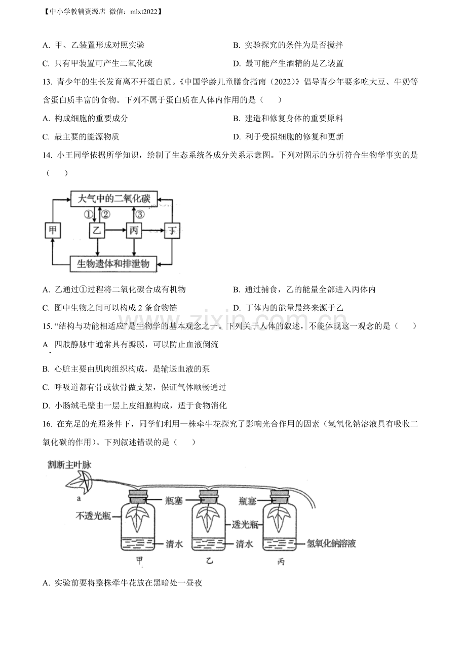 2022年山东省青岛市中考生物真题（原卷版）.docx_第3页