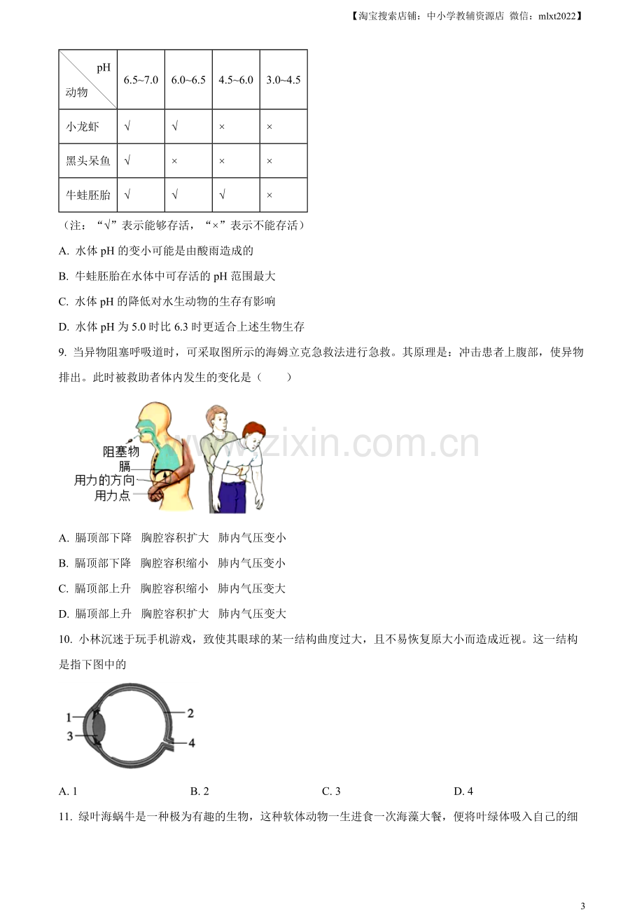 2023年四川省凉山彝族自治州中考生物真题（原卷版）（1）.docx_第3页