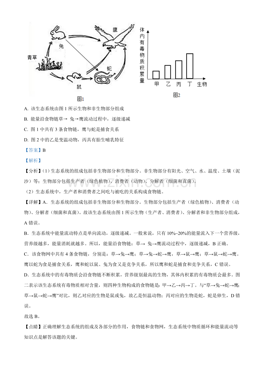 山东省泰安市2021年中考生物试题（解析版）.doc_第3页