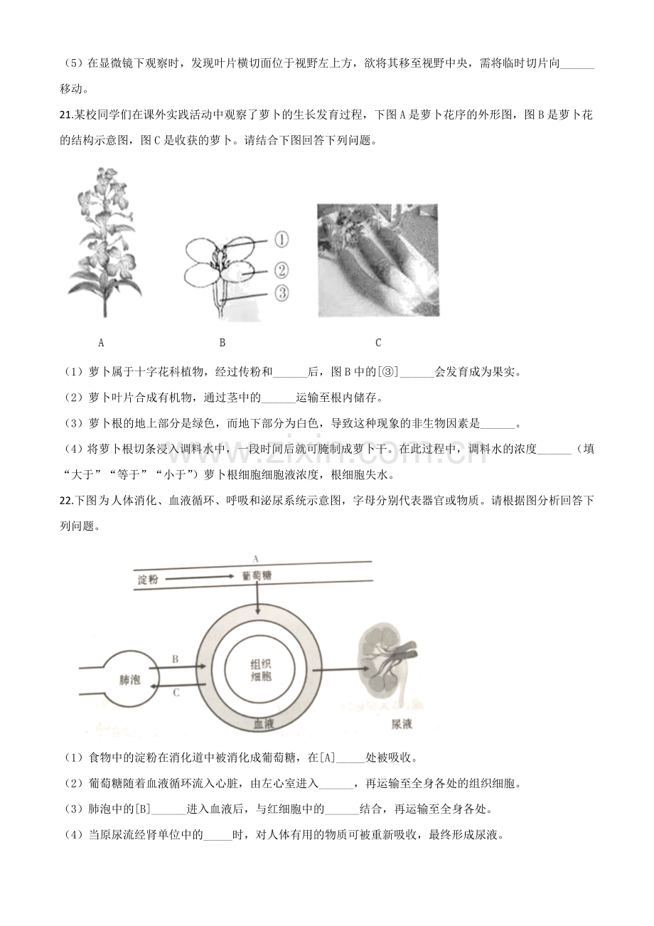 甘肃省定西市2020年八年级中考生物试题（原卷版）.doc_第3页