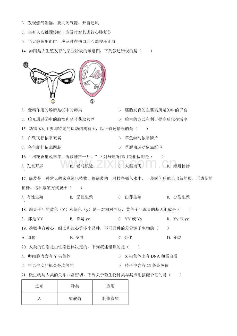 2022年广东省中考生物真题（原卷版）.docx_第3页