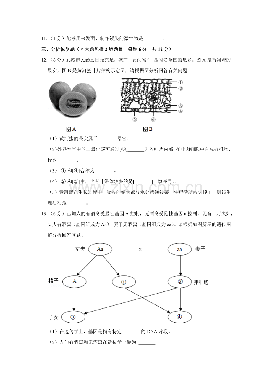 2021年甘肃省武威、白银、平凉、天水、庆阳中考生物试题（原卷版）.docx_第2页