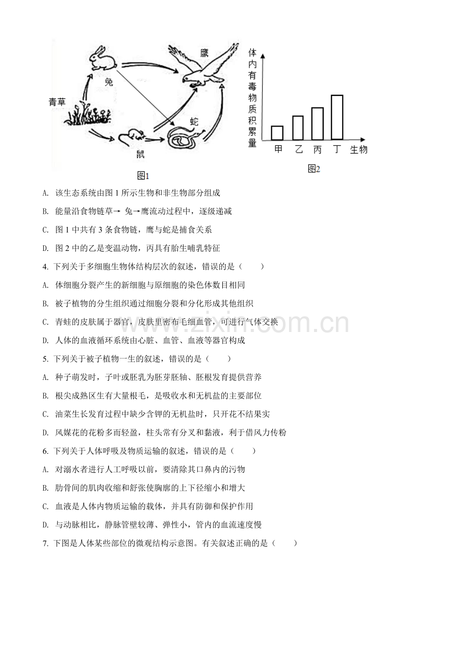 山东省泰安市2021年中考生物试题（原卷版）.doc_第2页