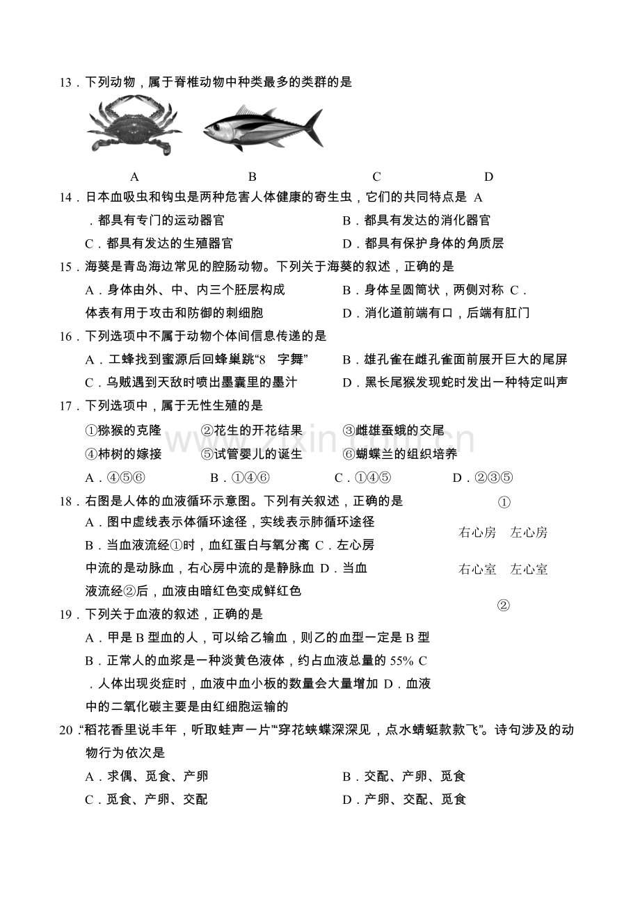 山东省青岛市2018年初中学业水平考试生物试题（word版 含答案）.doc_第3页