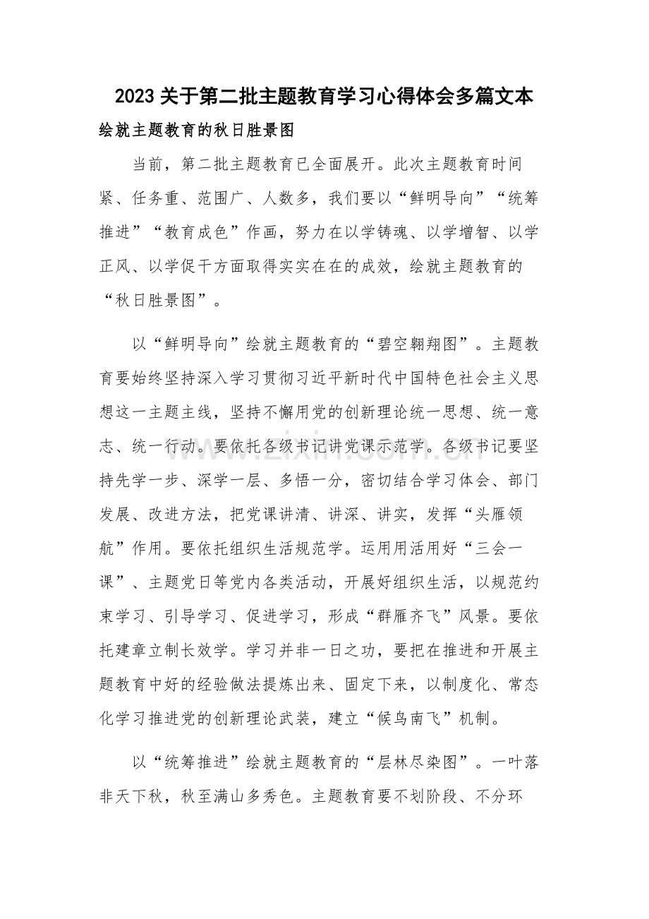 2023关于第二批主题教育学习心得体会多篇文本.docx_第1页