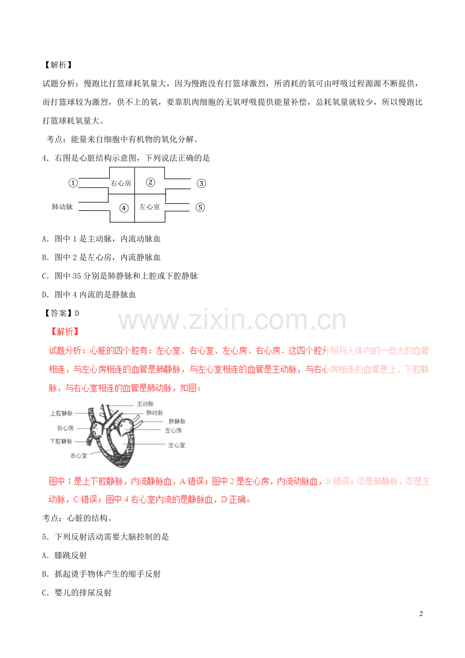 四川省德阳市2016年中考生物真题试题（含解析）.doc_第2页