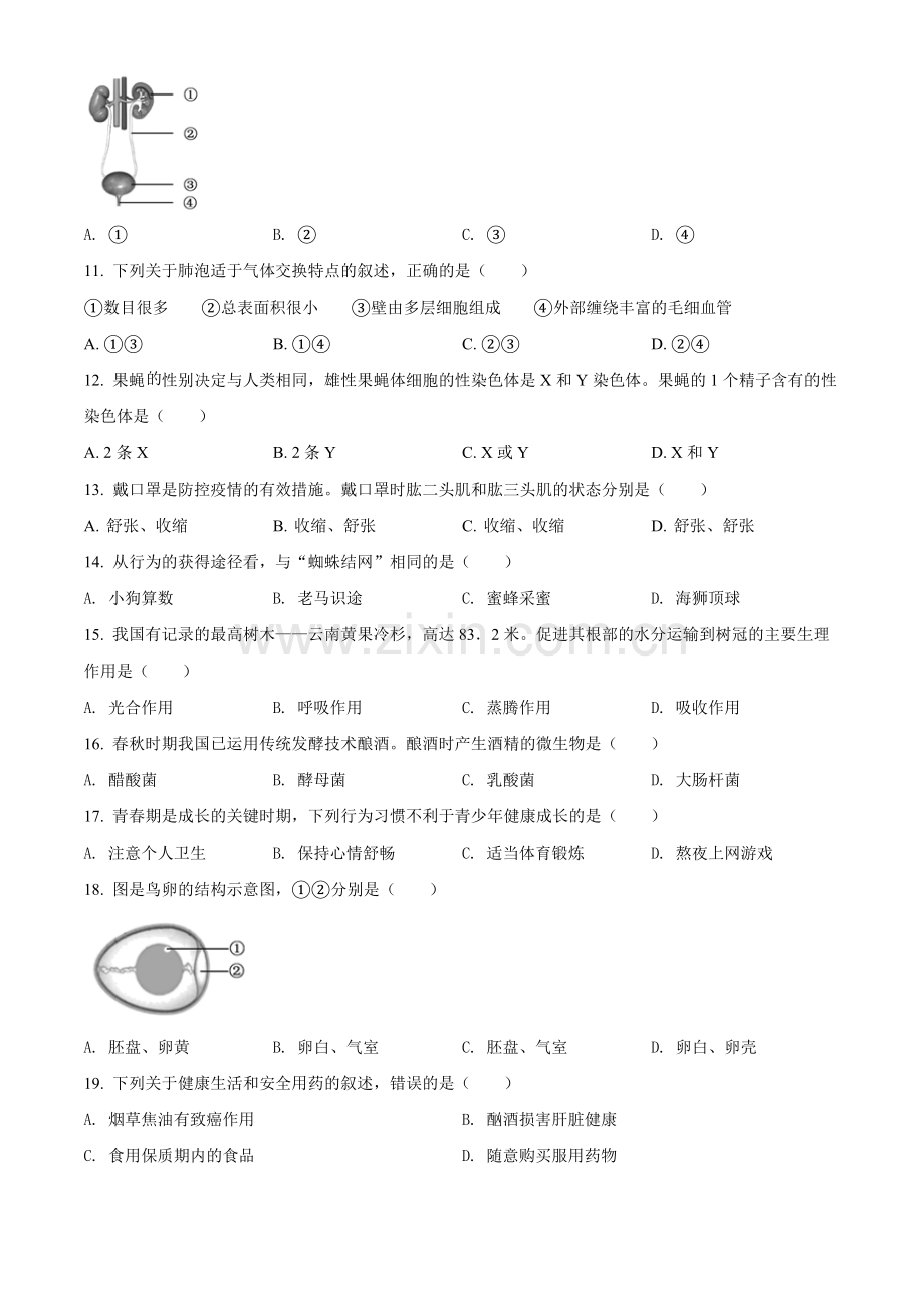 2022年福建省中考生物真题（原卷版）.docx_第2页