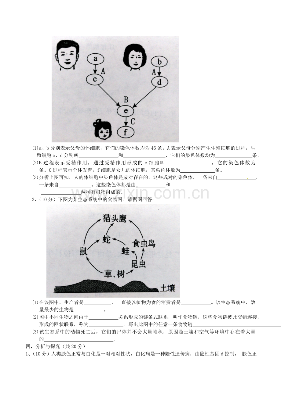 2016年四川省成都市中考生物真题及答案.doc_第3页