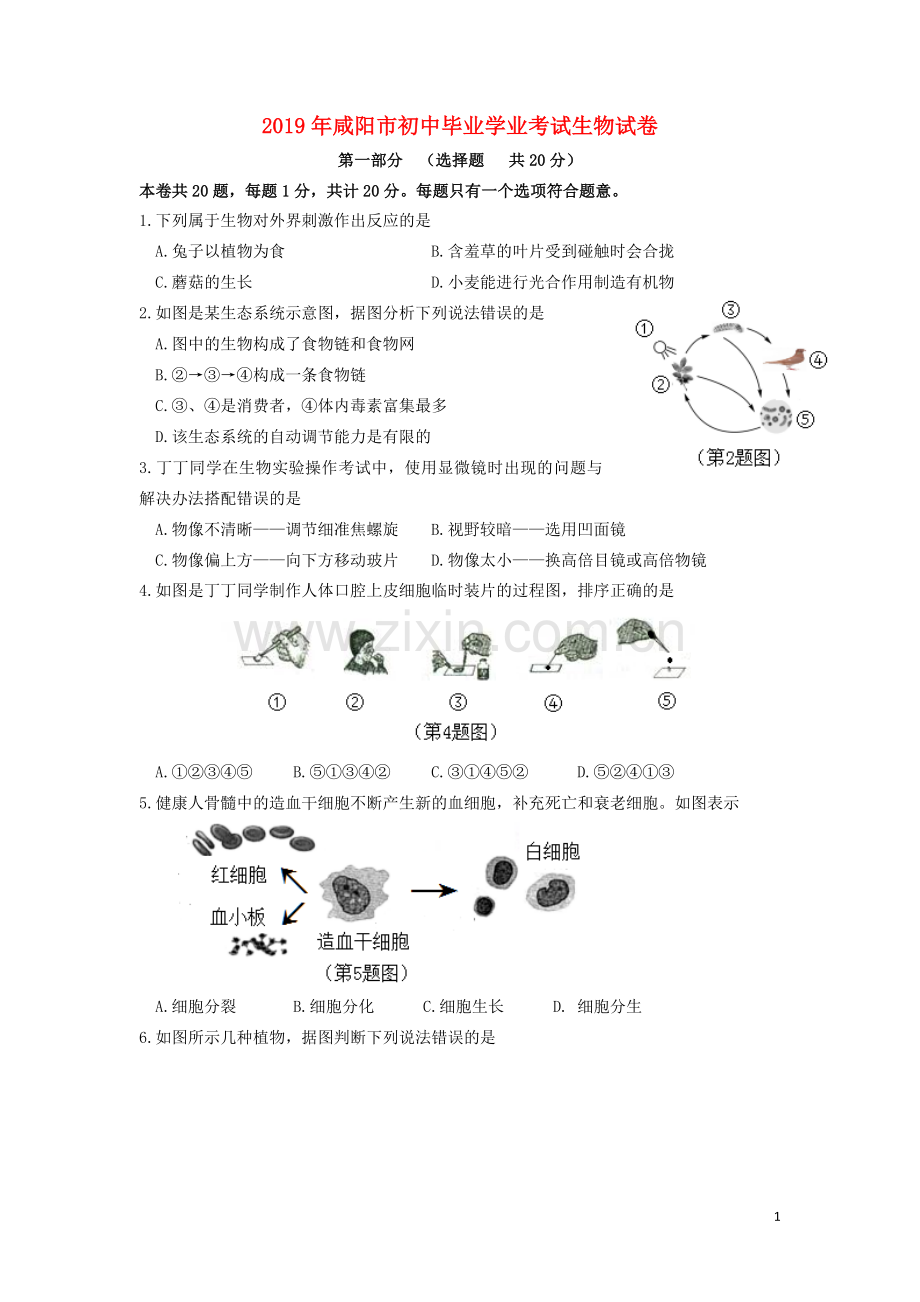 陕西省咸阳市2019年中考生物真题试题.docx_第1页