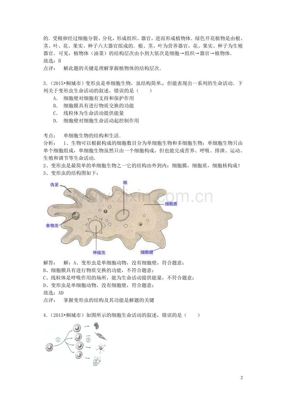 安徽省桐城市2015年中考生物真题试题（含解析）.doc_第2页