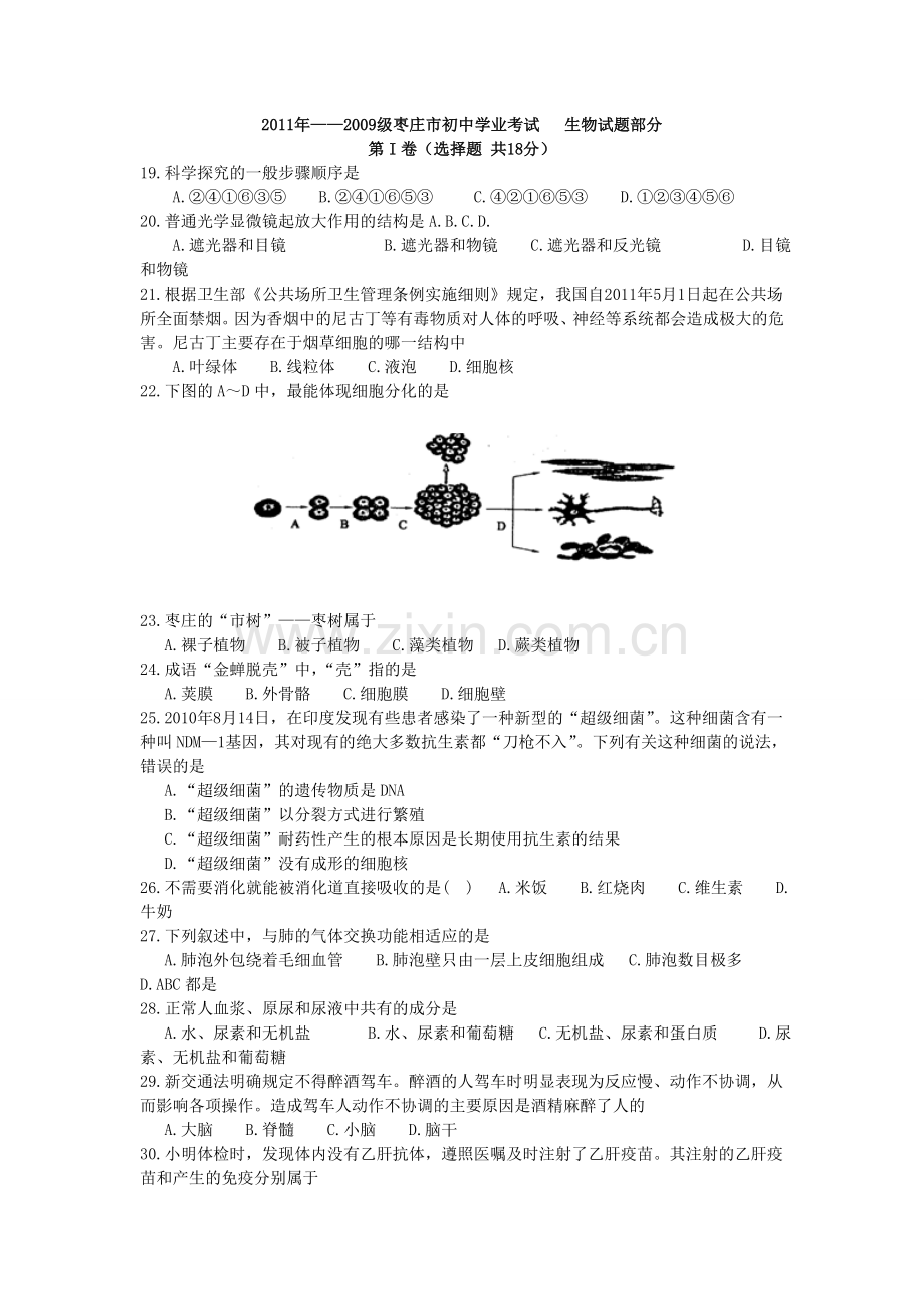 2011年枣庄市中考生物试题及答案.doc_第1页