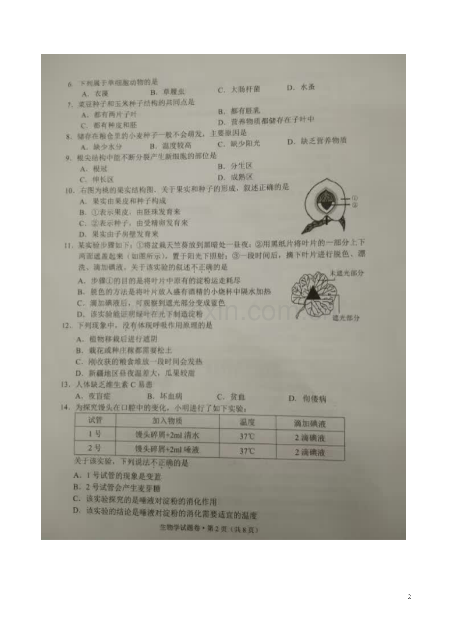 云南省2016年中考生物真题试题（扫描版含答案）.doc_第2页