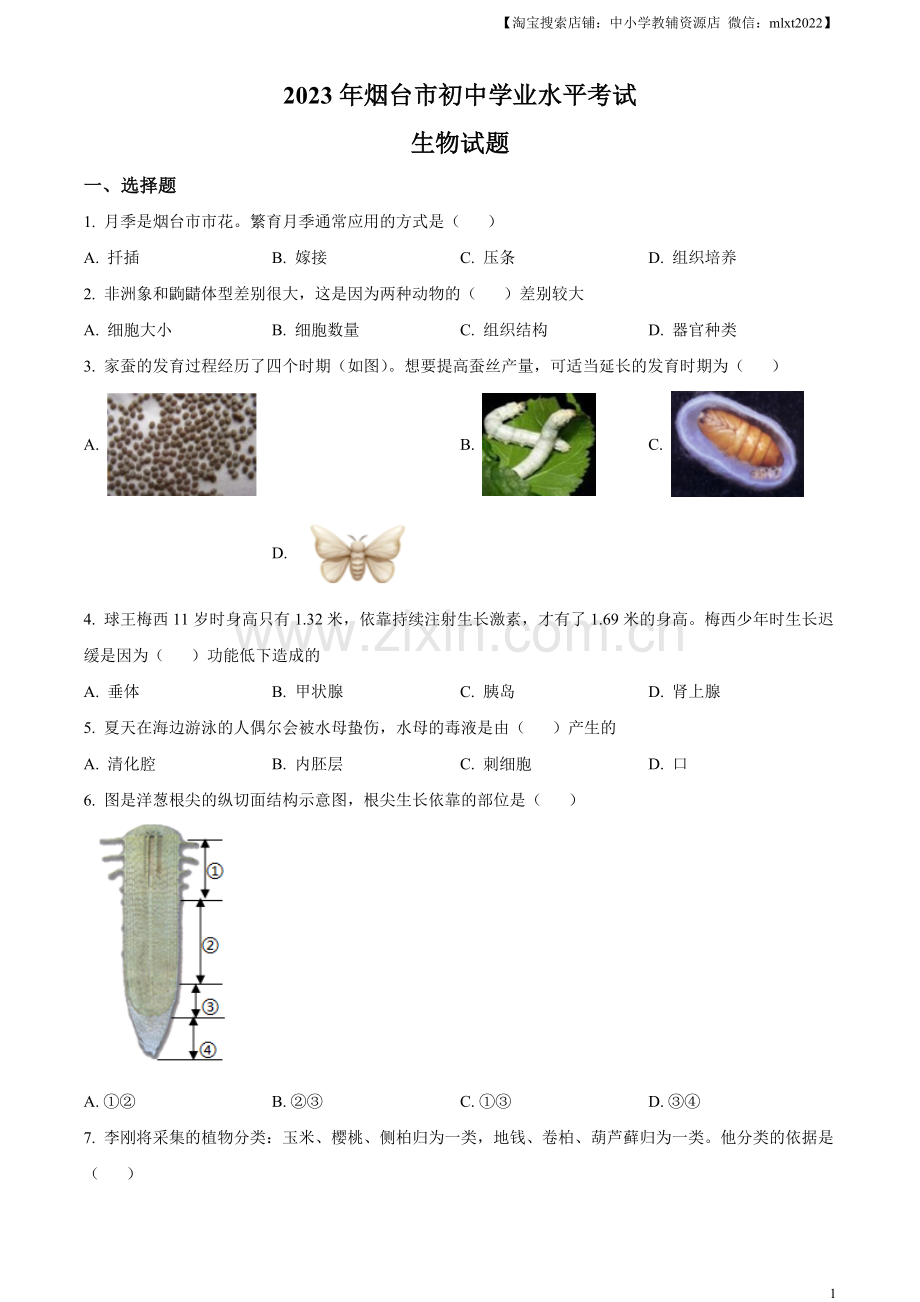 2023年山东省烟台市中考生物真题（原卷版）.docx_第1页