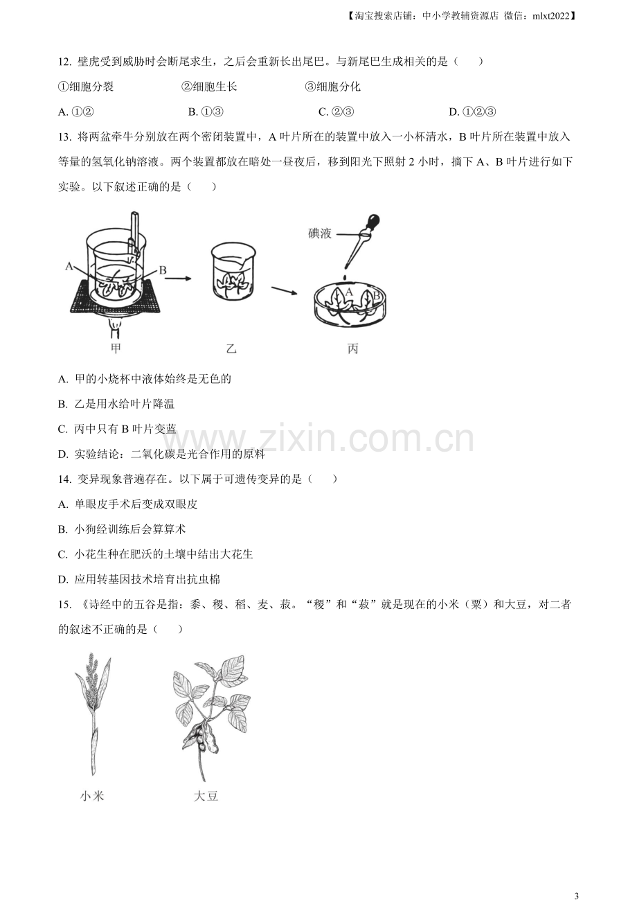 2023年山东省烟台市中考生物真题（原卷版）.docx_第3页