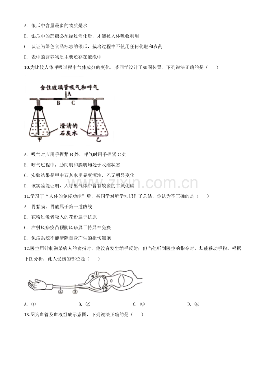 山东省潍坊市2020年中考生物试题（原卷版）.doc_第3页