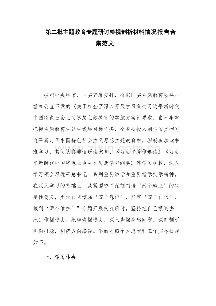 第二批主题教育专题研讨检视剖析材料情况报告合集范文.docx_第1页