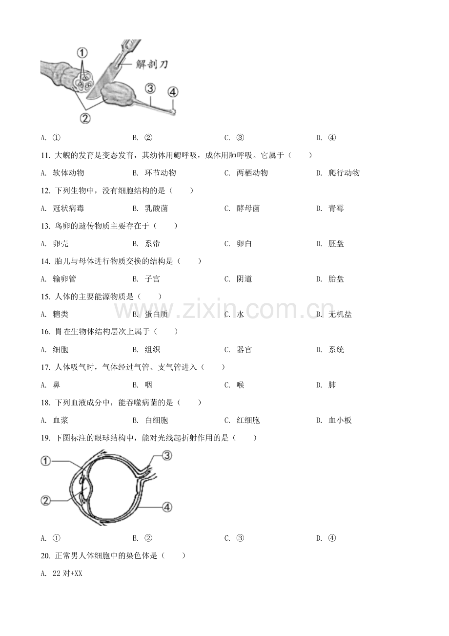 福建省2020年中考生物试题（原卷版）.doc_第2页