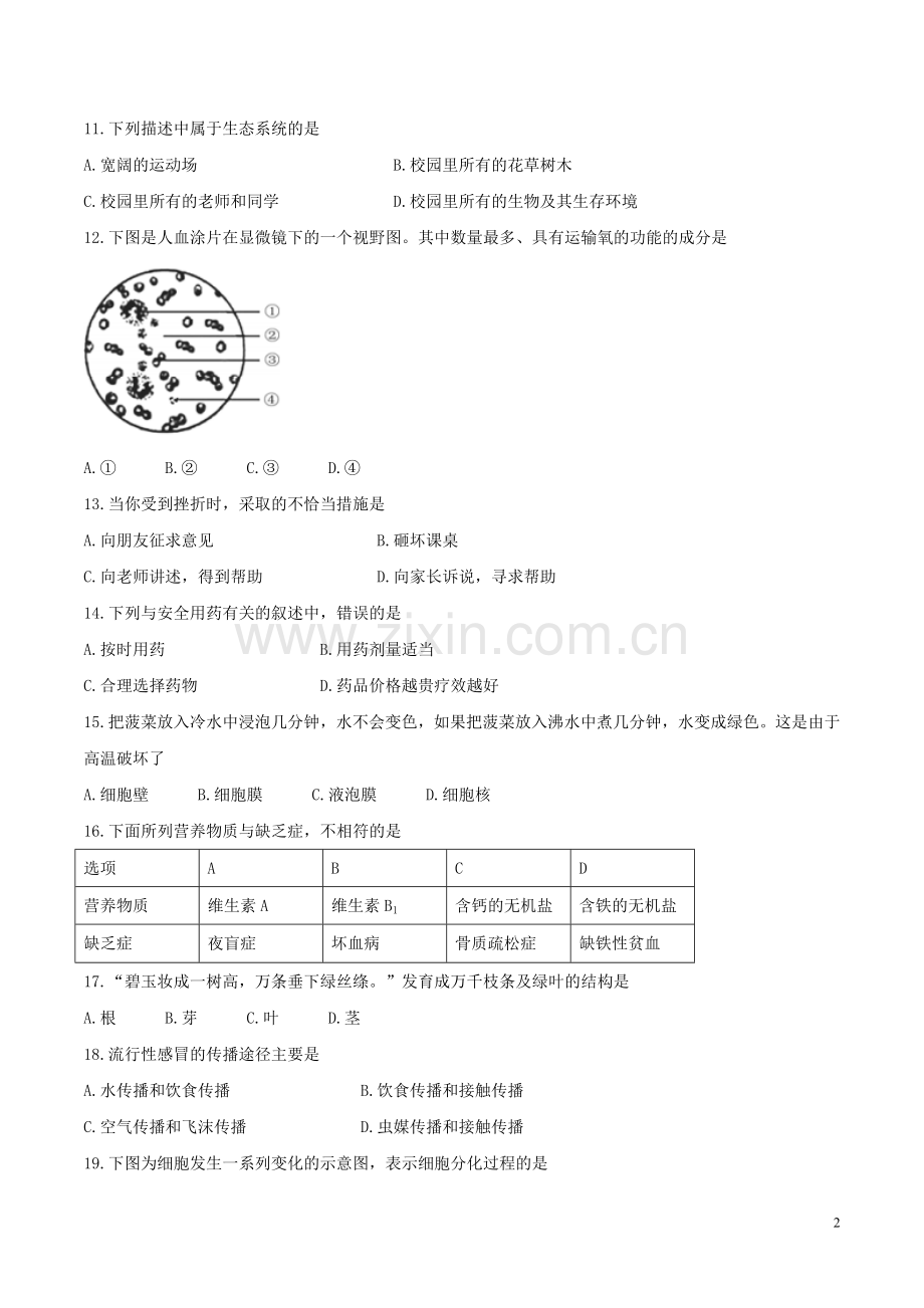 海南省2017年中考生物真题试题（含答案）.doc_第2页