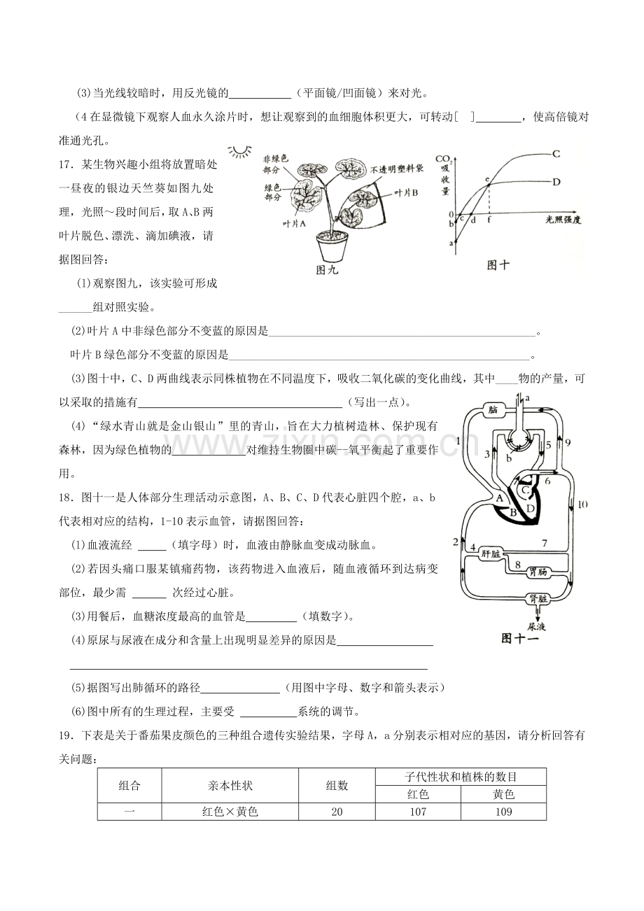 2019年四川省南充市中考生物真题及答案.doc_第3页