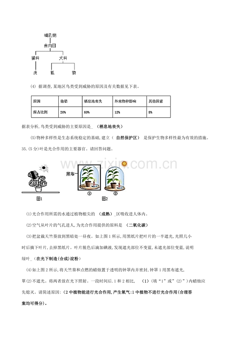 2019生物答案.docx_第3页