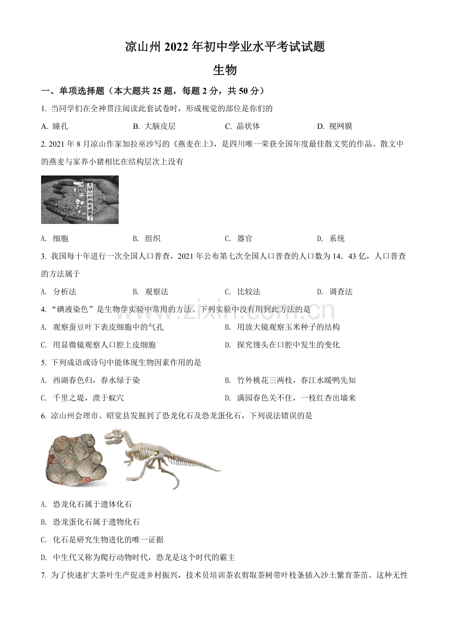 2022年四川省凉山州中考生物真题（原卷版）.docx_第1页