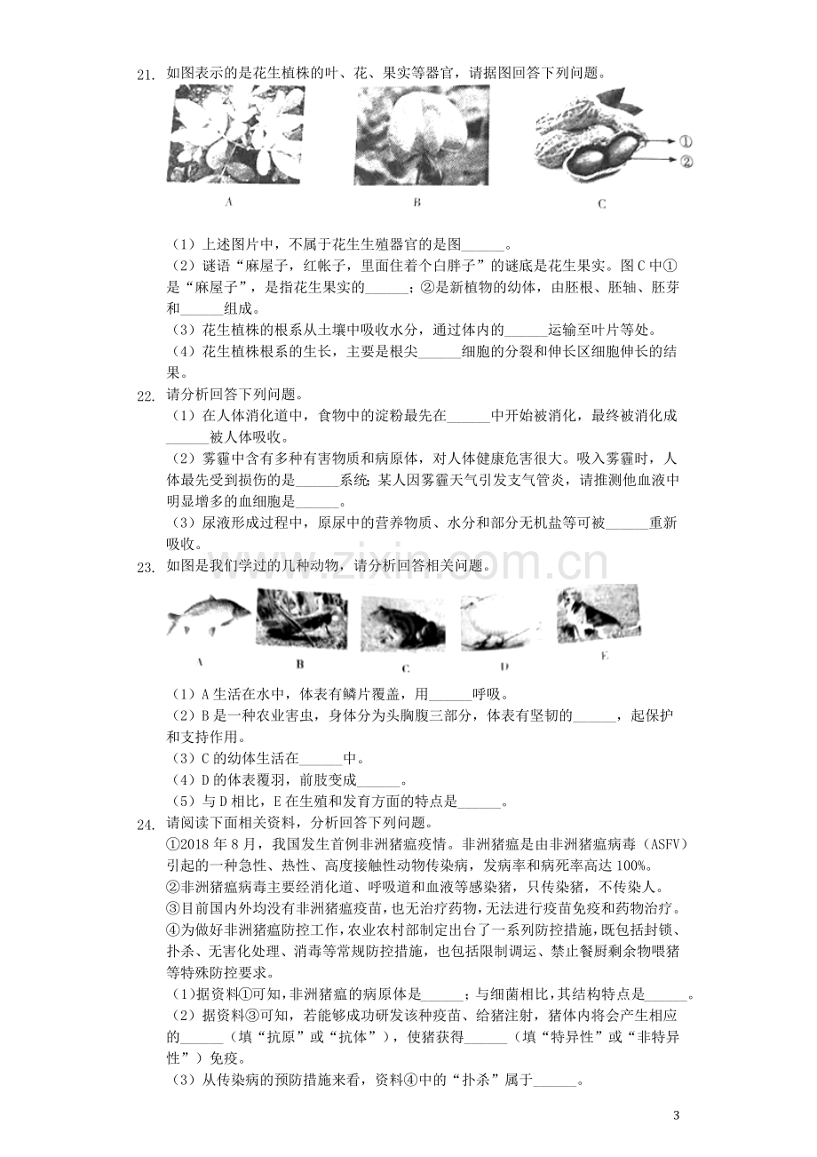 甘肃省定西市2019年中考生物真题试题（含解析）.docx_第3页