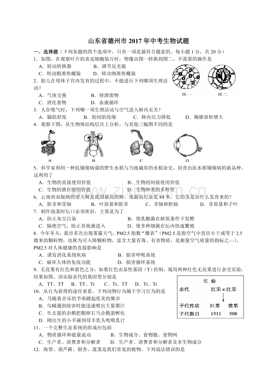 2017年德州市中考生物试题及答案.doc_第1页