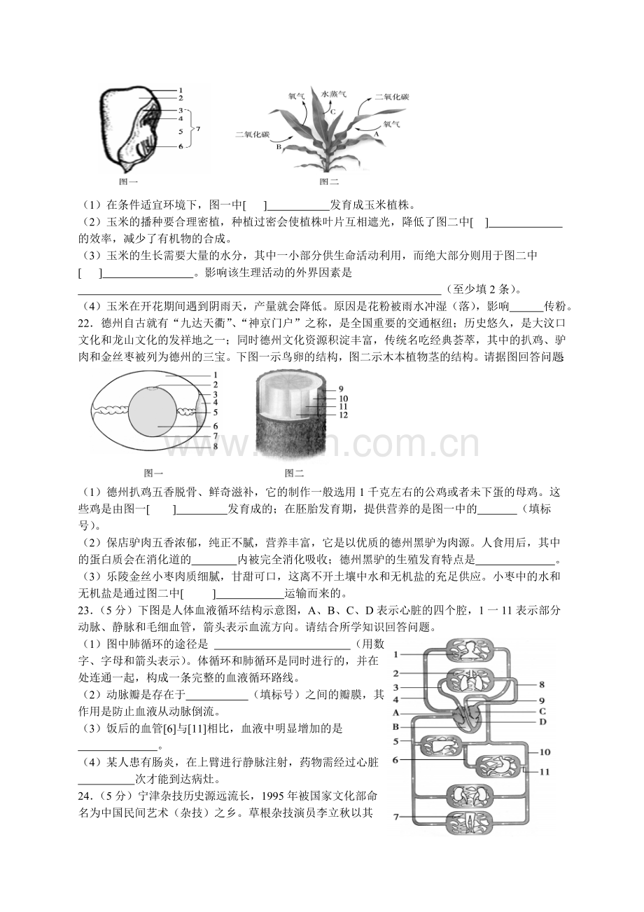 2017年德州市中考生物试题及答案.doc_第3页