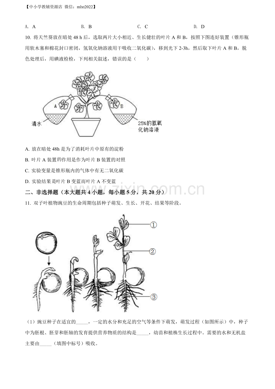 2022年安徽省中考生物真题（原卷版）.docx_第3页