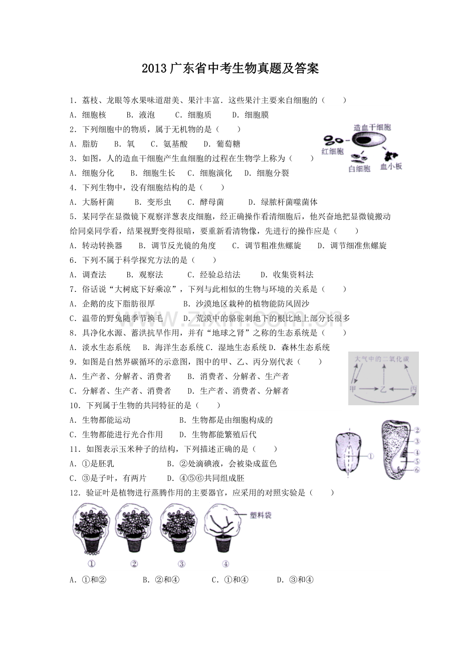 2013广东省中考生物真题及答案.doc_第1页