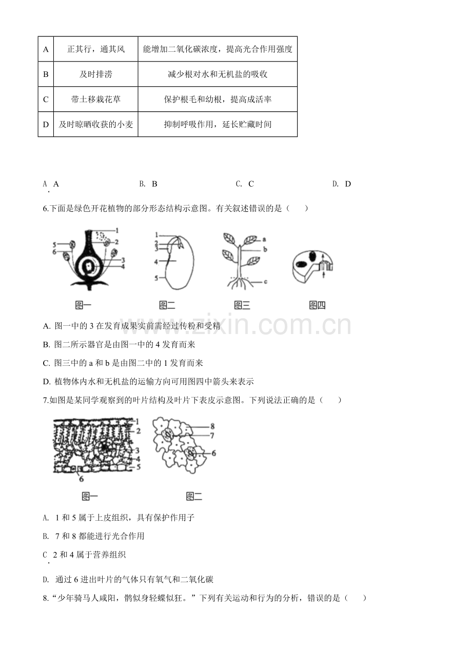 2020年中考生物试题.doc_第2页