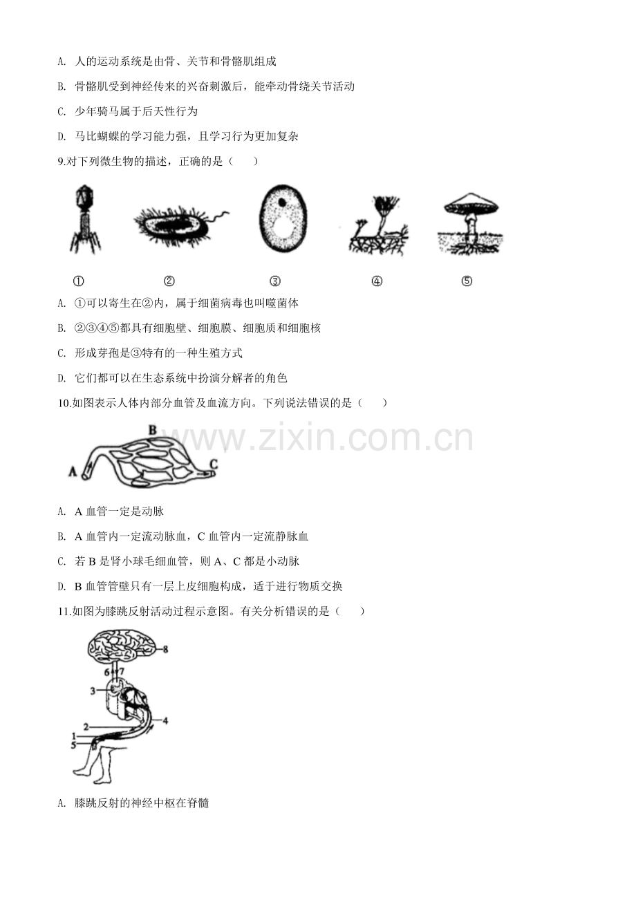 2020年中考生物试题.doc_第3页