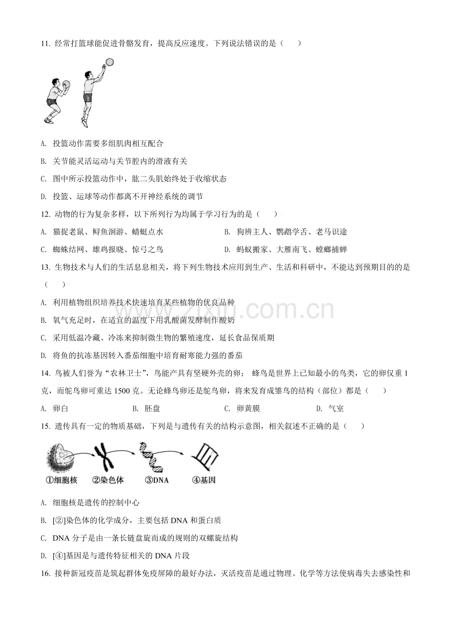 山东省济宁市2021年中考生物试题（原卷版）.doc_第3页