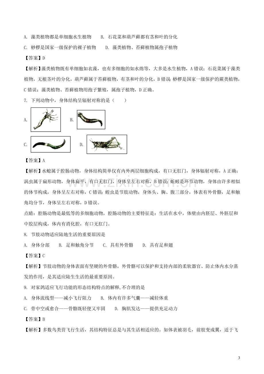 山东省潍坊市2018年中考生物真题试题（含解析）.doc_第3页