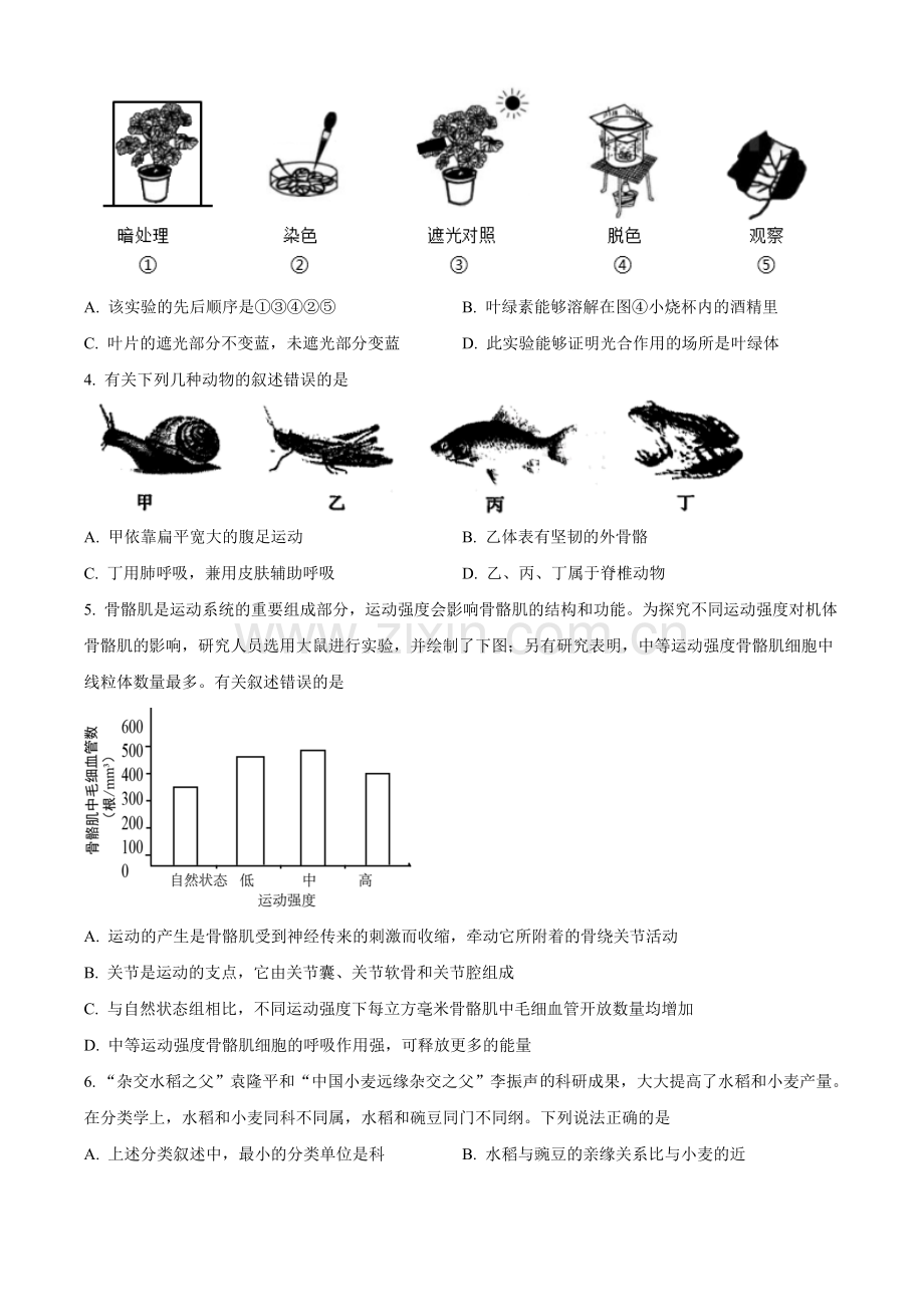 山东省菏泽市2021年中考生物试题（原卷版）.doc_第2页