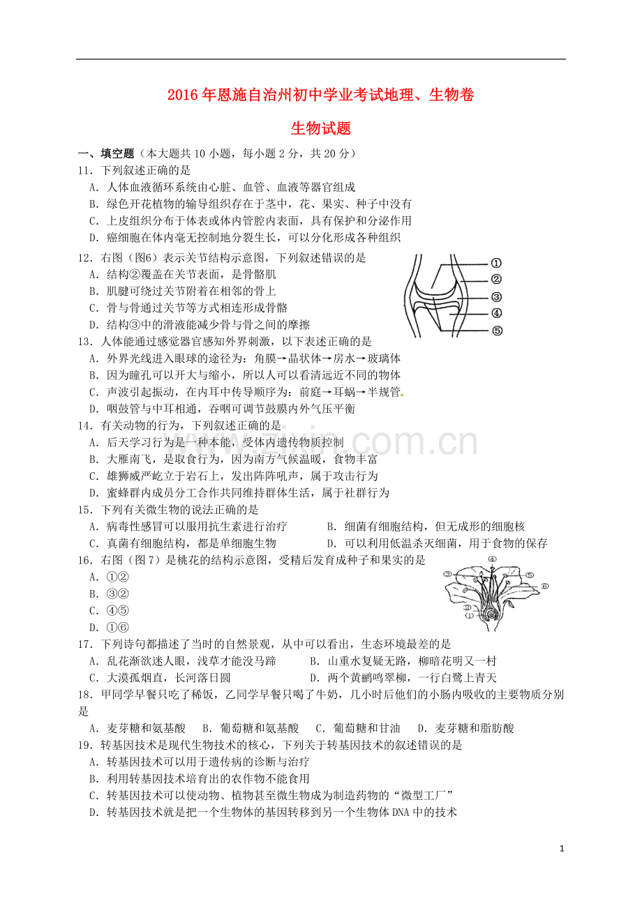 湖北省恩施州2016年中考生物真题试题（含答案）.doc_第1页