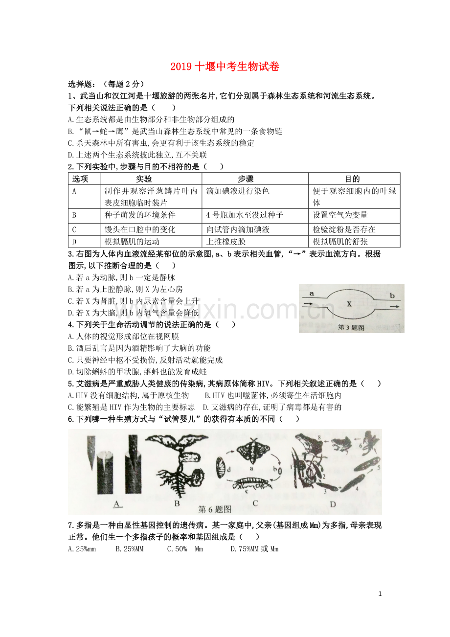 湖北省十堰市2019年中考生物真题试题.doc_第1页