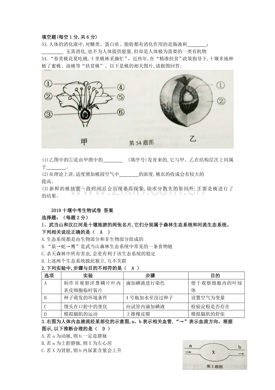 湖北省十堰市2019年中考生物真题试题.doc_第2页