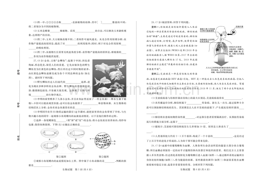 山东省德州市2019年中考生物真题试题(扫描版).docx_第3页