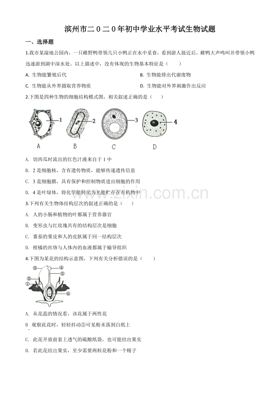 山东省滨州市2020年中考生物试题（原卷版）.doc_第1页