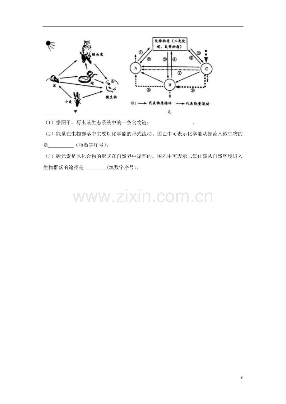 浙江省温州市2018年中考科学（生物部分）真题试题（含答案）.doc_第3页