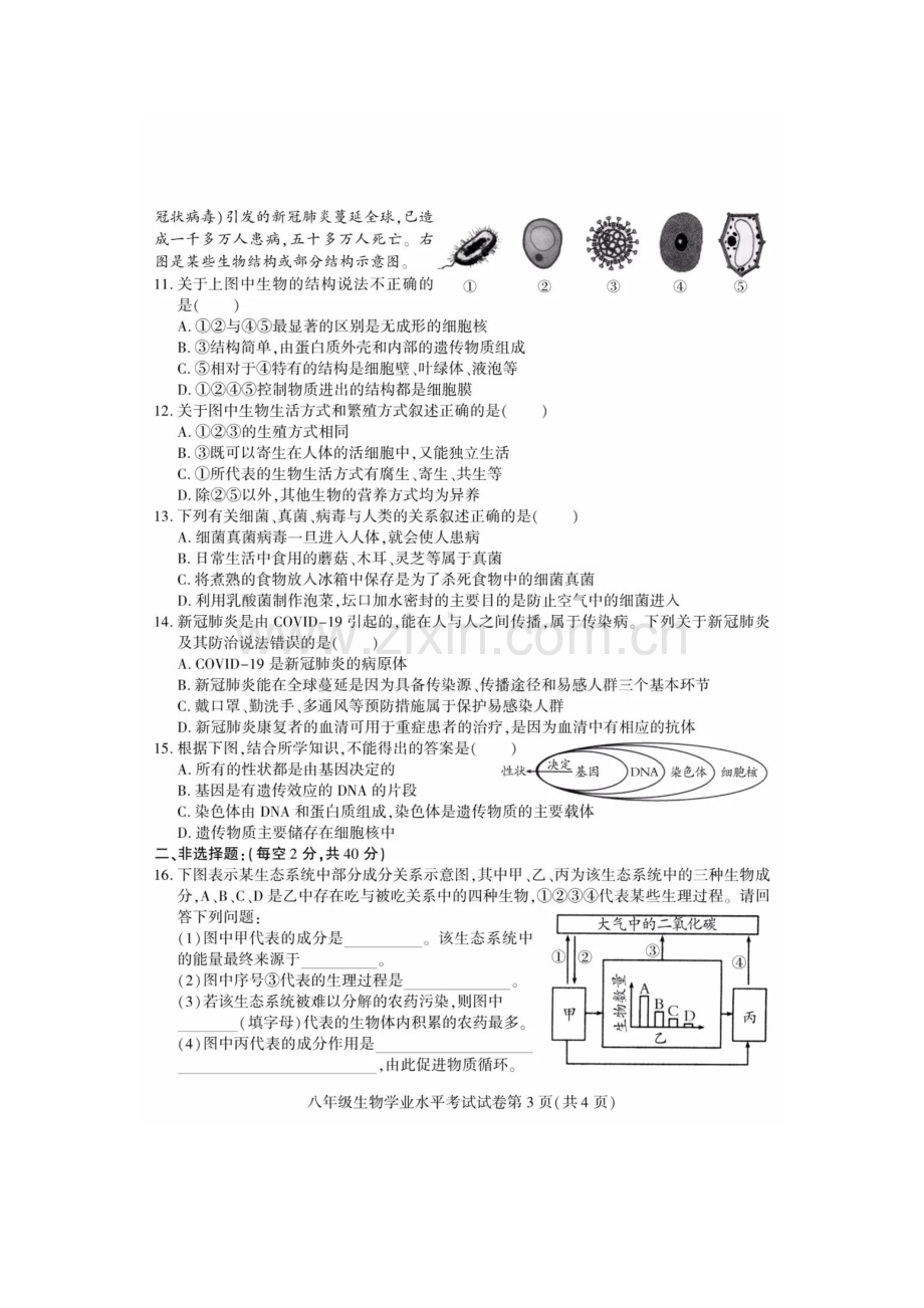 2020年四川南充中考生物真题及答案.doc_第3页