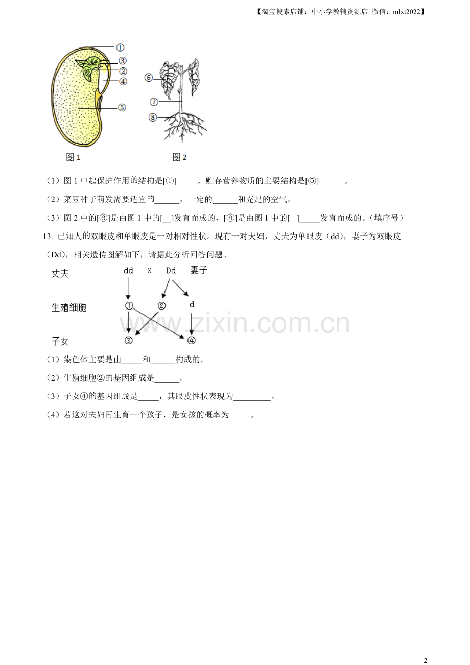 2023年甘肃省武威市、嘉峪关市、临夏州中考生物真题（原卷版）.docx_第2页