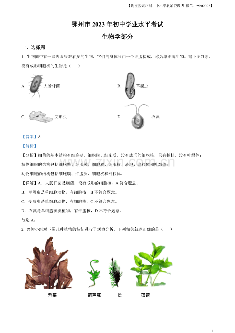 2023年湖北省鄂州市中考生物真题（解析版）.docx_第1页